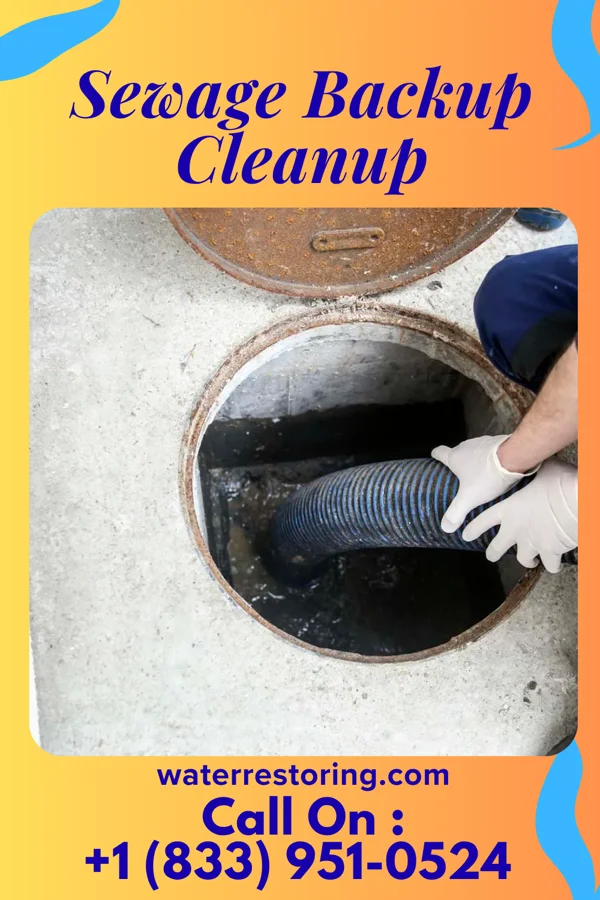 Sewage Backup Cleanup in Lykens, PA