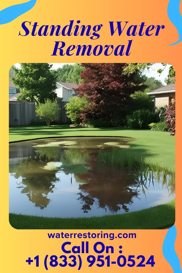Standing Water Removal in Lykens, PA